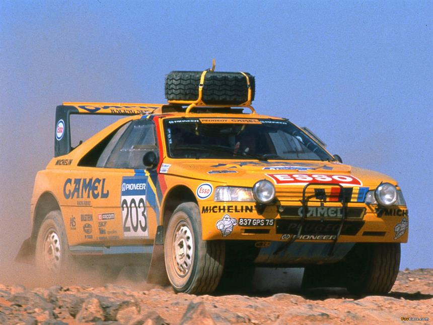 auto in gara alla parigi dakar