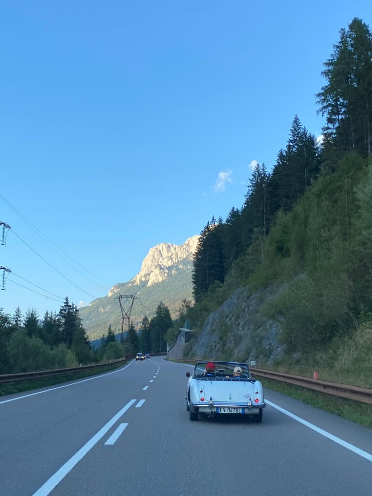 Stella_Alpina_2023 Stella_Alpina_2023